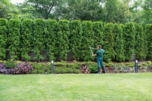 Professional Tree Service in Parkesburg, PA